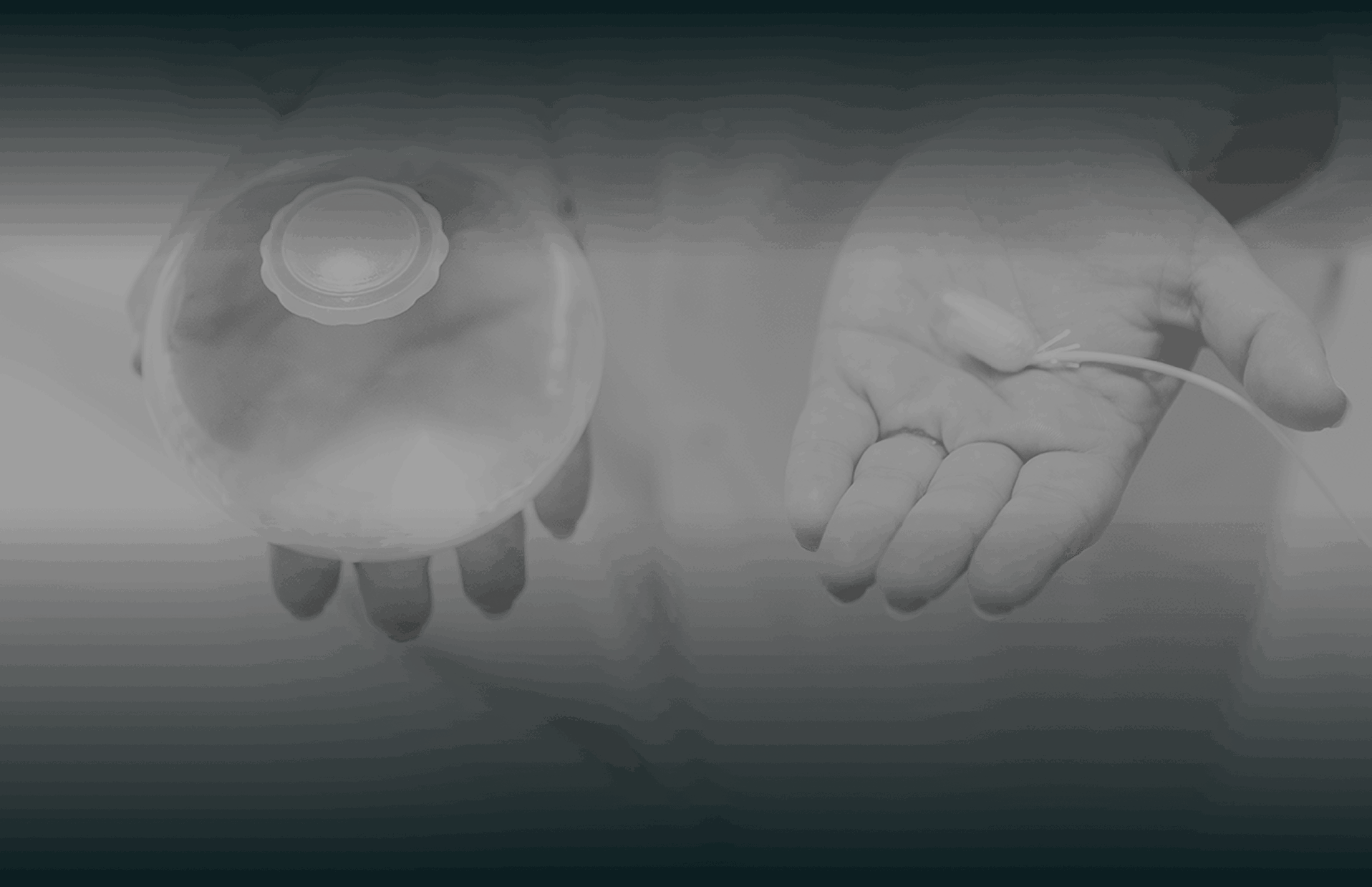 Check Eligiblity Banner